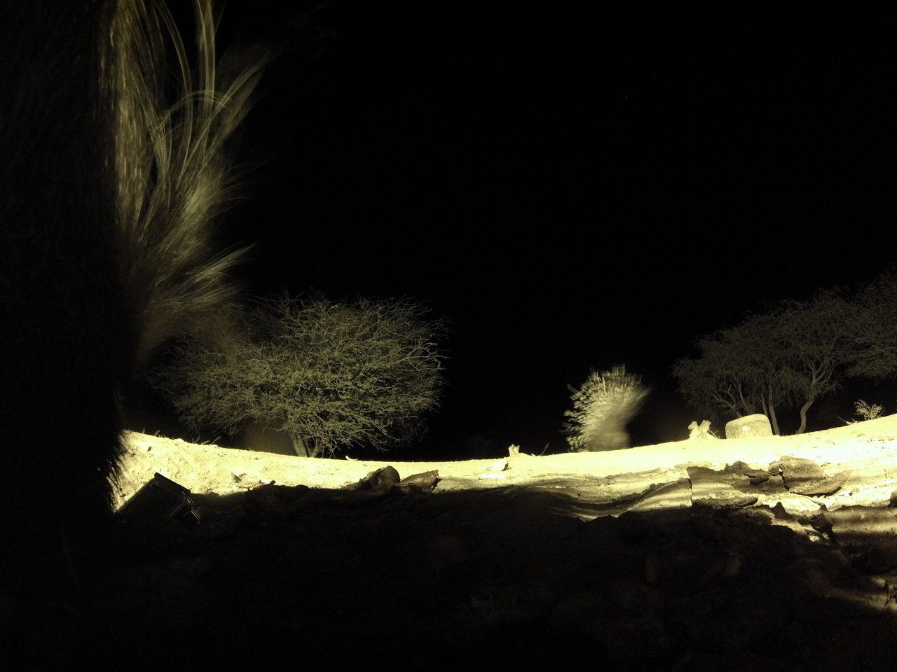 [11074] 2016_06_23_19_55_45_Africa_Hero3-Silver_Edition_IMG__01358.jpg