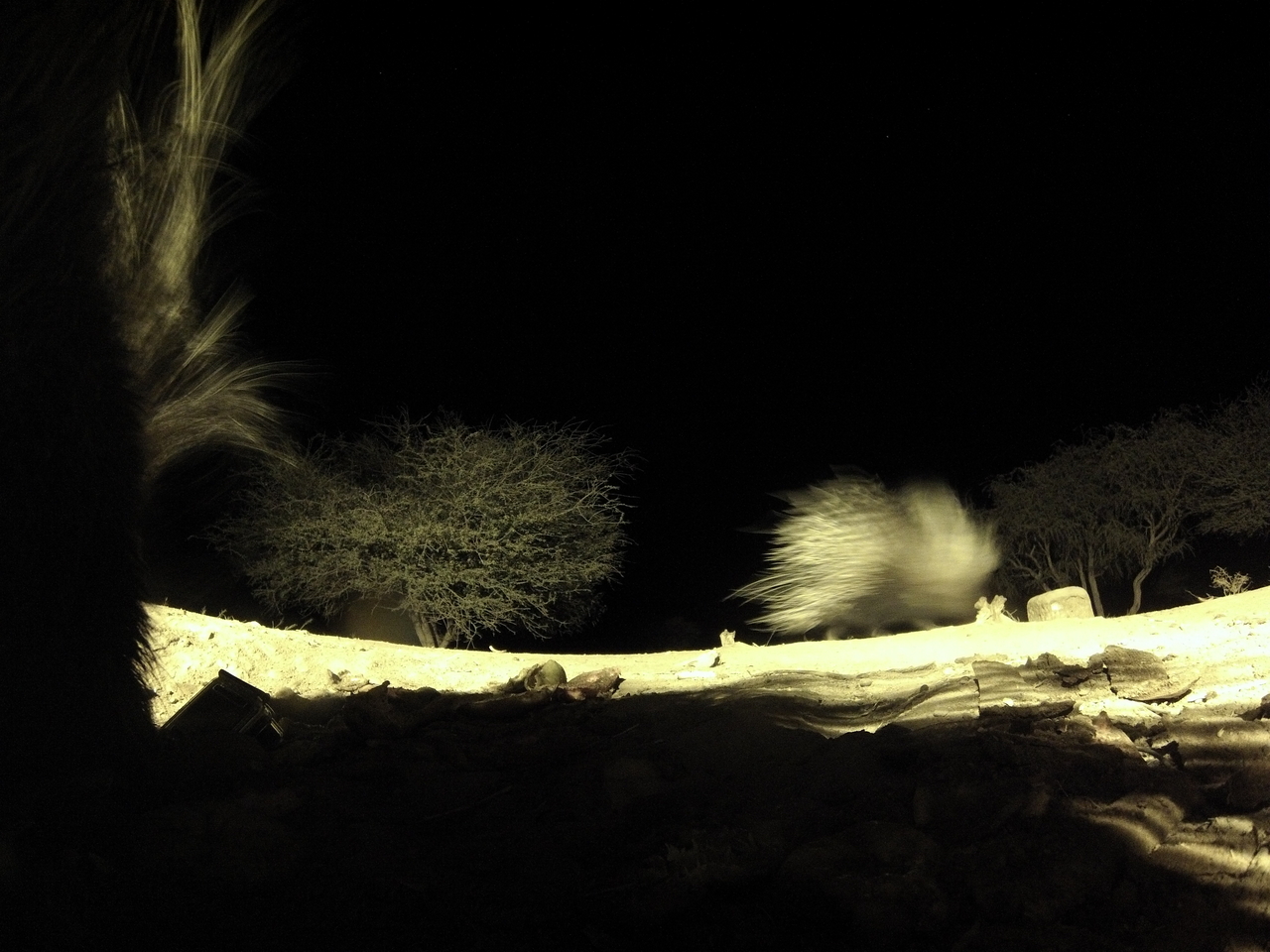 [11081] 2016_06_23_19_55_53_Africa_Hero3-Silver_Edition_IMG__00912.jpg