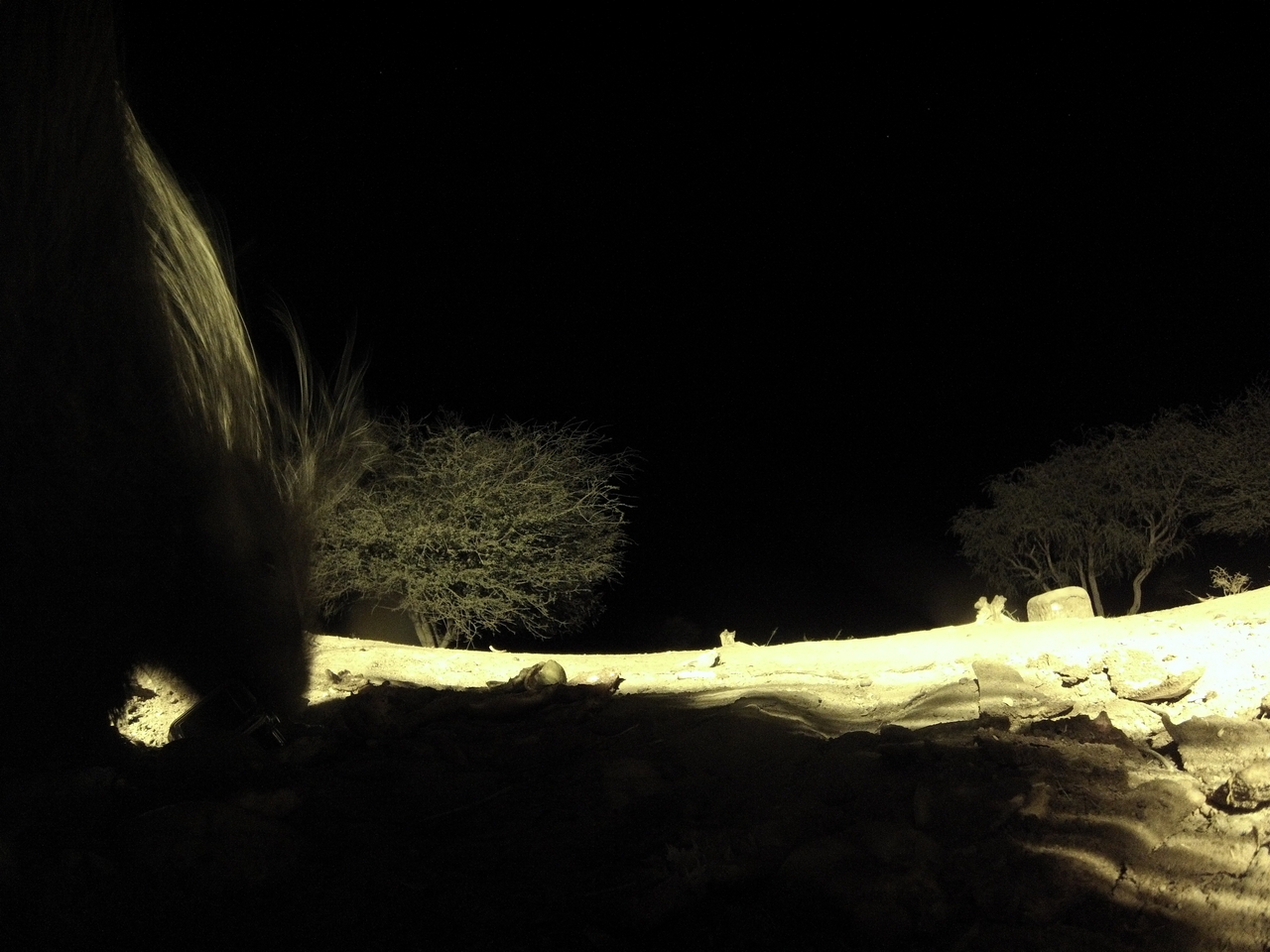 [11092] 2016_06_23_19_56_05_Africa_Hero3-Silver_Edition_IMG__01363.jpg