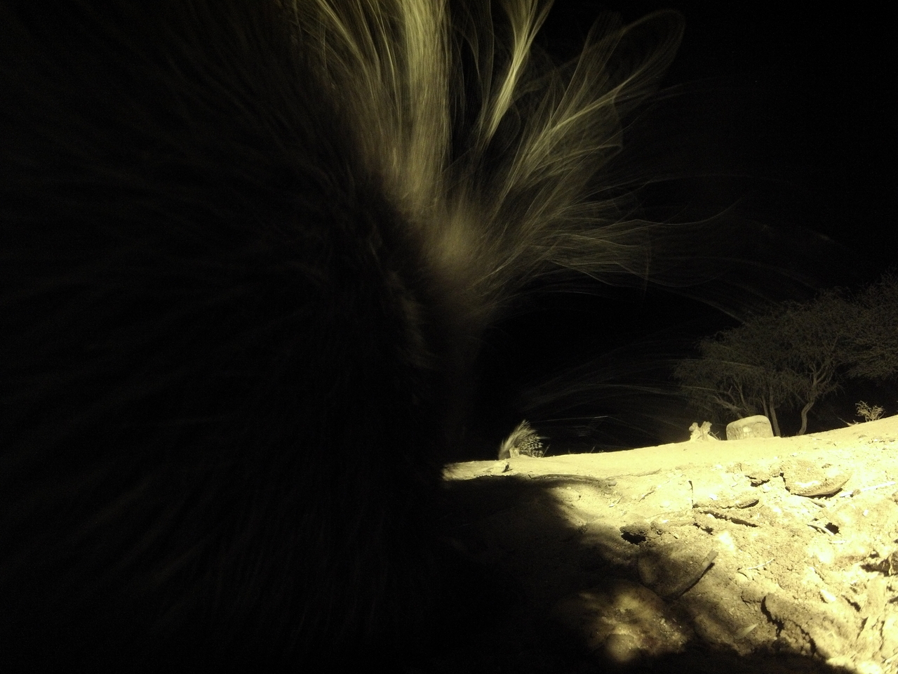 [11104] 2016_06_23_19_56_17_Africa_Hero3-Silver_Edition_IMG__01366.jpg