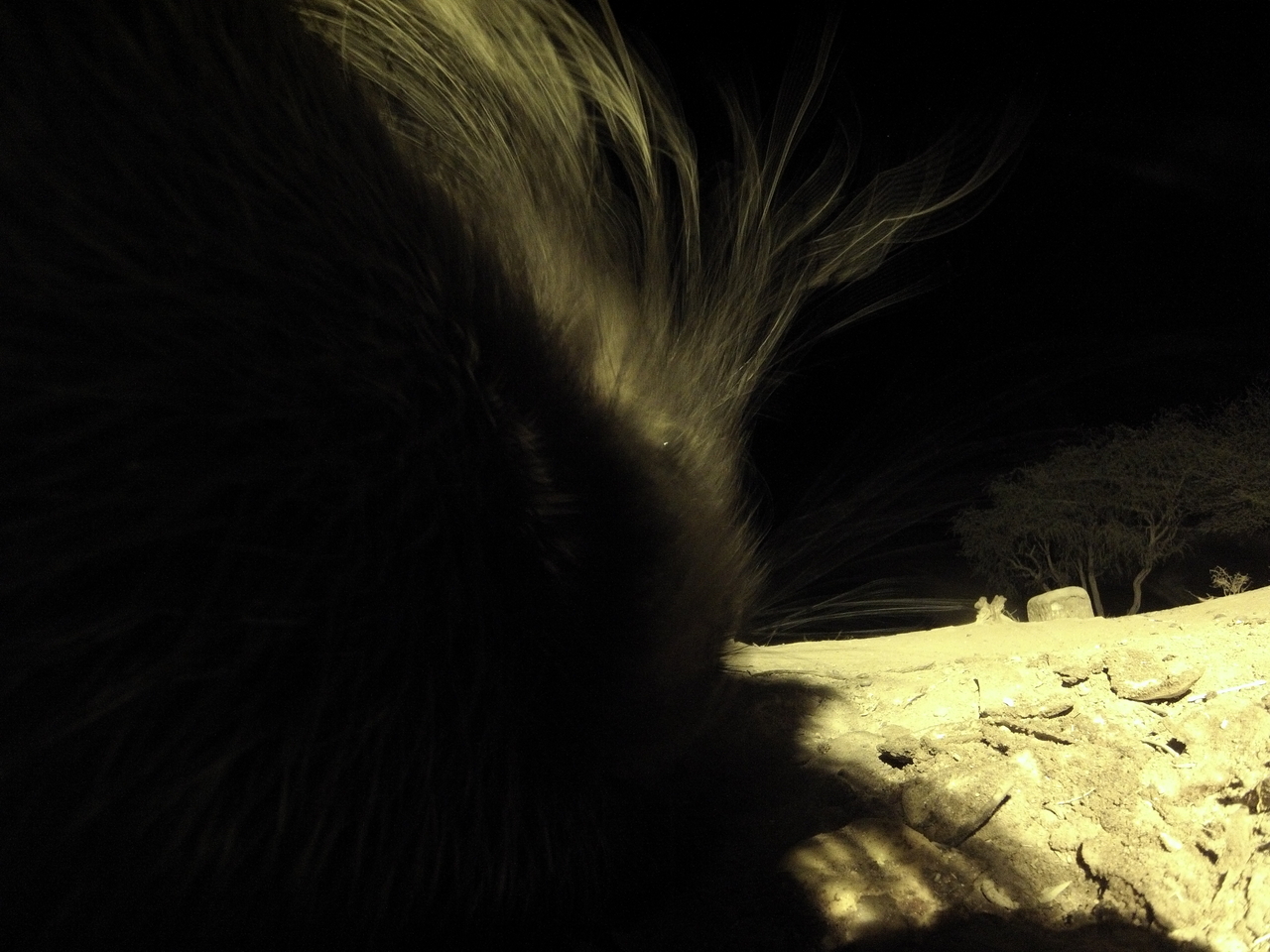 [11117] 2016_06_23_19_56_33_Africa_Hero3-Silver_Edition_IMG__00922.jpg