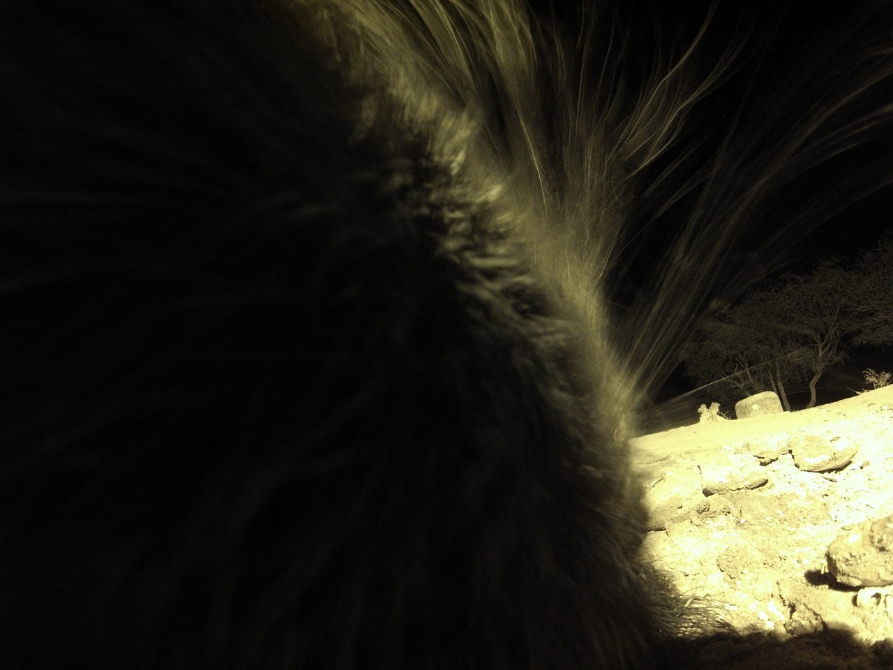 [11158] 2016_06_23_19_57_17_Africa_Hero3-Silver_Edition_IMG__01381.jpg