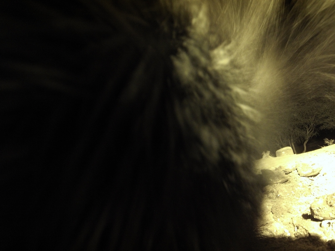 [11159] 2016_06_23_19_57_21_Africa_Hero3-Silver_Edition_IMG__00934.jpg