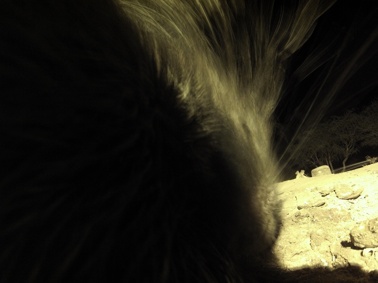 [11164] 2016_06_23_19_57_25_Africa_Hero3-Silver_Edition_IMG__01383.jpg