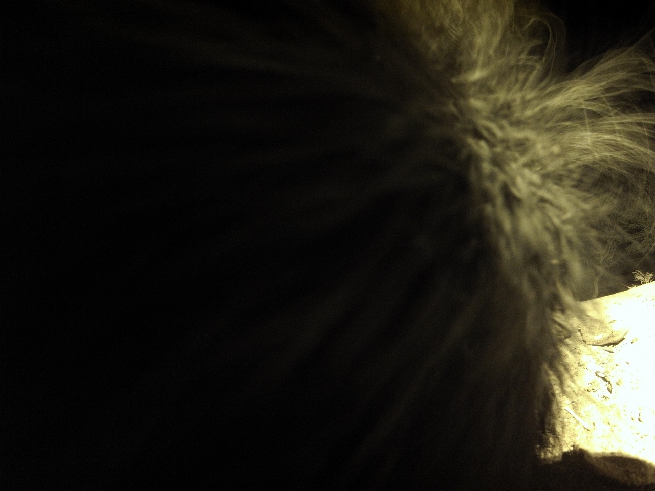 [11177] 2016_06_23_19_57_41_Africa_Hero3-Silver_Edition_IMG__00939.jpg