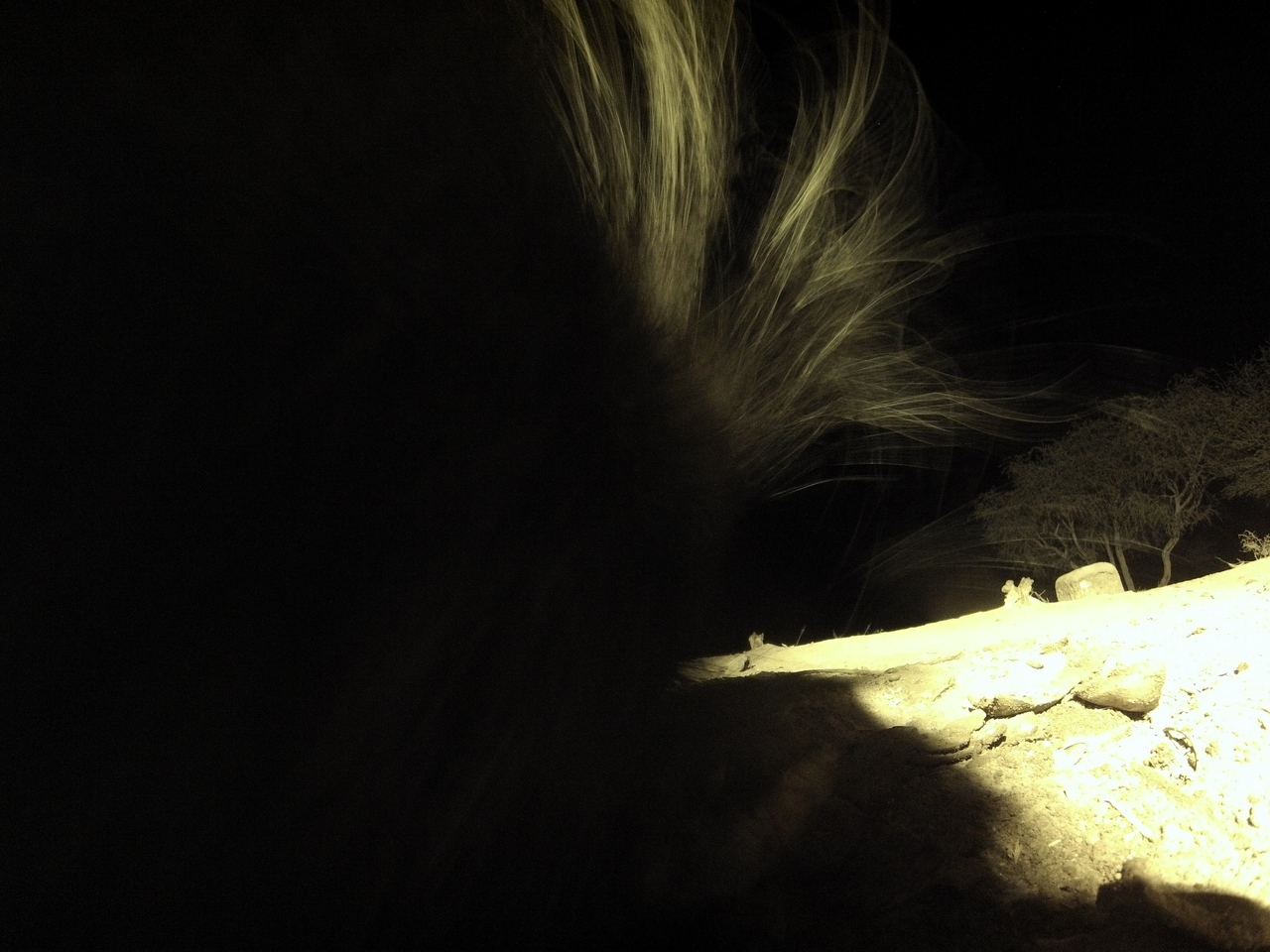 [11182] 2016_06_23_19_57_45_Africa_Hero3-Silver_Edition_IMG__01388.jpg