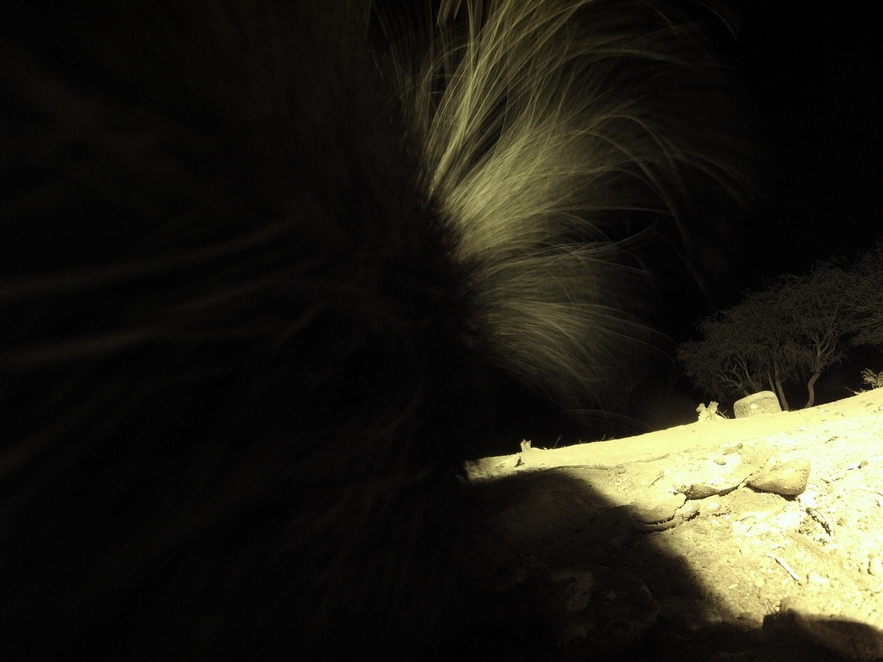 [11190] 2016_06_23_19_57_53_Africa_Hero3-Silver_Edition_IMG__01390.jpg