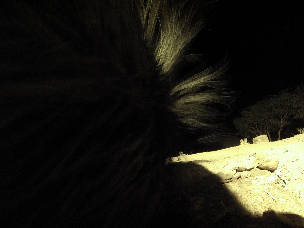 [11194] 2016_06_23_19_57_57_Africa_Hero3-Silver_Edition_IMG__01391.jpg