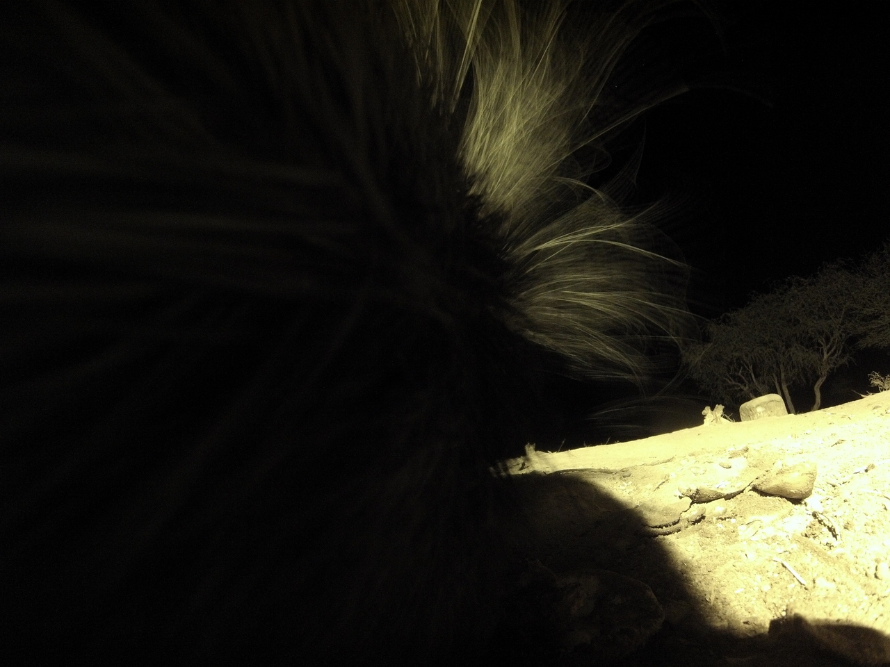 [11195] 2016_06_23_19_58_01_Africa_Hero3-Silver_Edition_IMG__00944.jpg