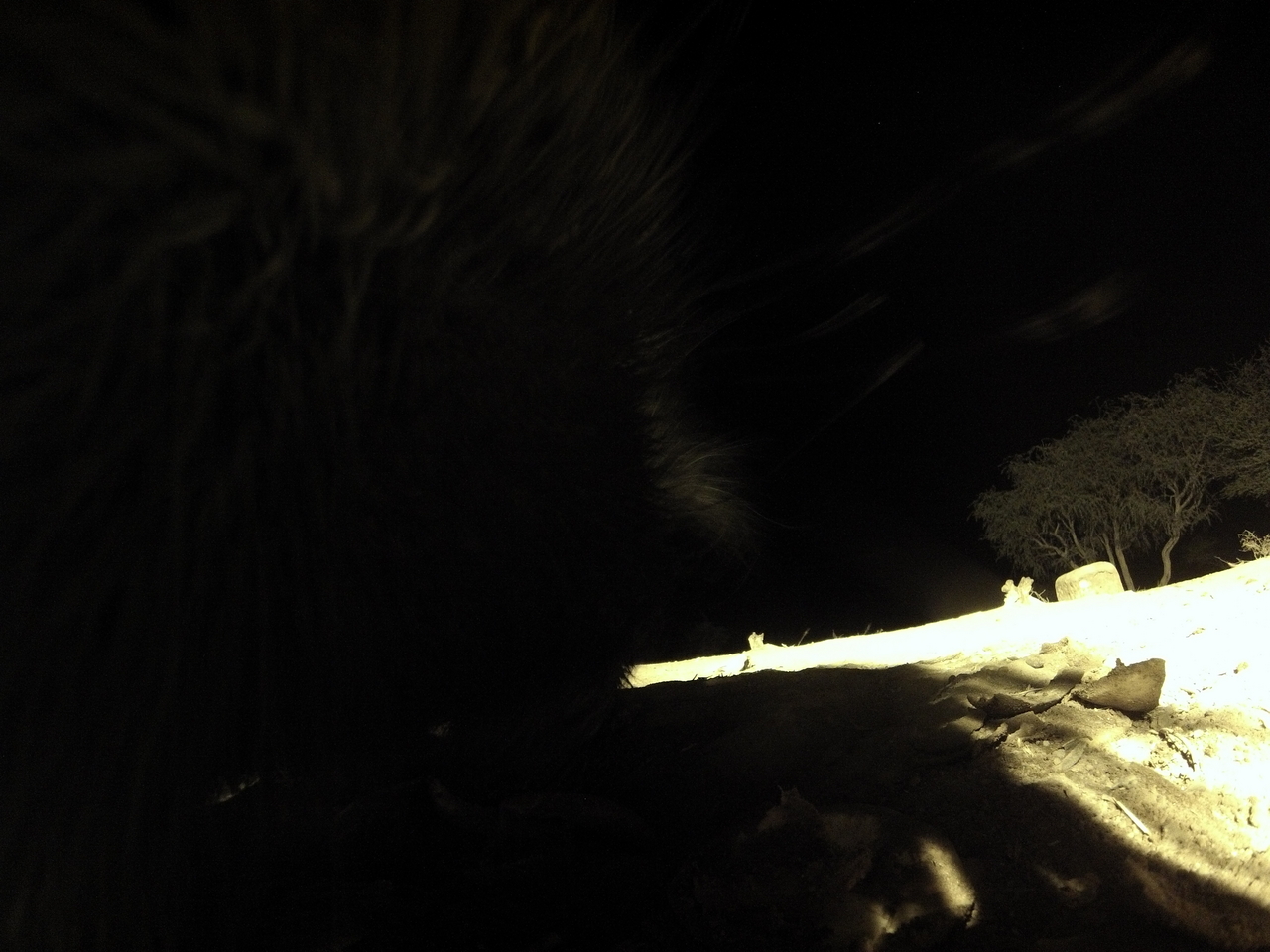 [11203] 2016_06_23_19_58_09_Africa_Hero3-Silver_Edition_IMG__00946.jpg