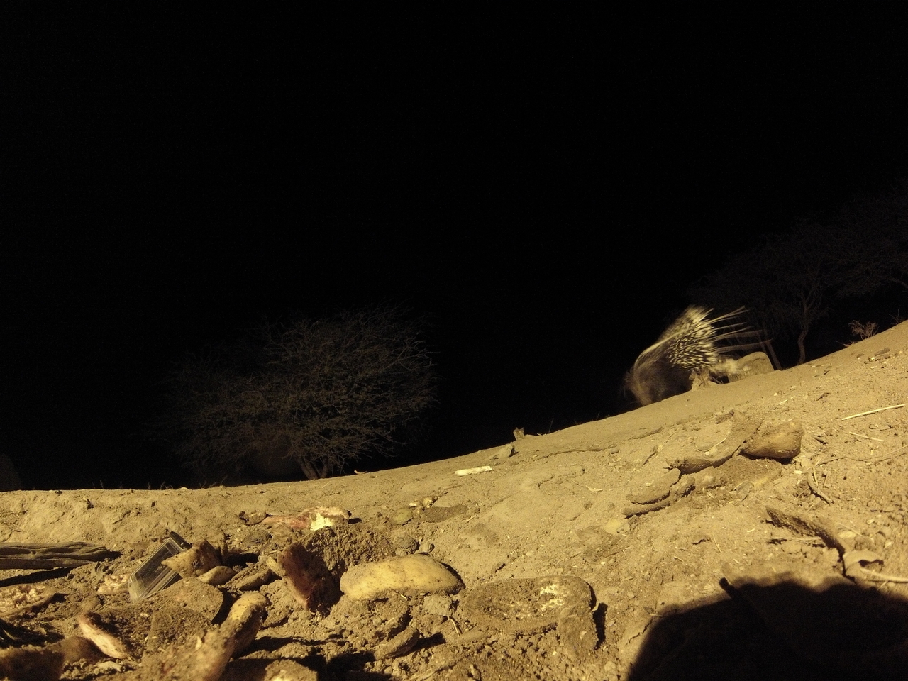 [11272] 2016_06_23_19_59_06_Africa_Hero3-Silver_Edition_IMG__00015.jpg