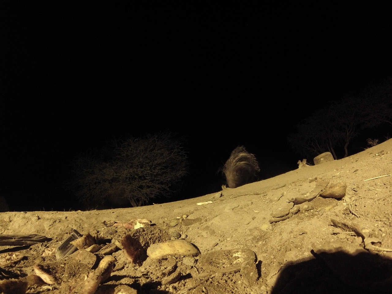 [11278] 2016_06_23_19_59_10_Africa_Hero3-Silver_Edition_IMG__00962.jpg