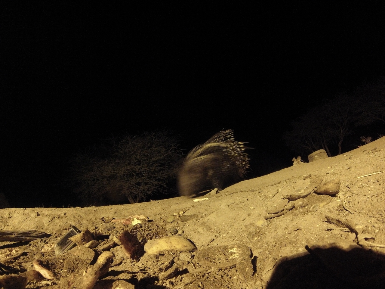 [11285] 2016_06_23_19_59_14_Africa_Hero3-Silver_Edition_IMG__00018.jpg