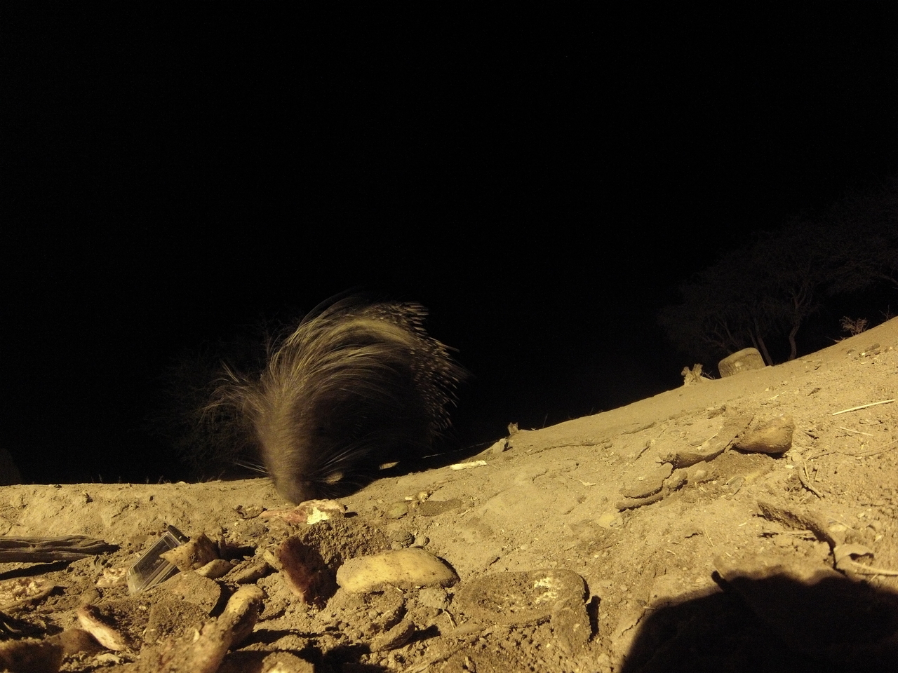 [11300] 2016_06_23_19_59_22_Africa_Hero3-Silver_Edition_IMG__01415.jpg