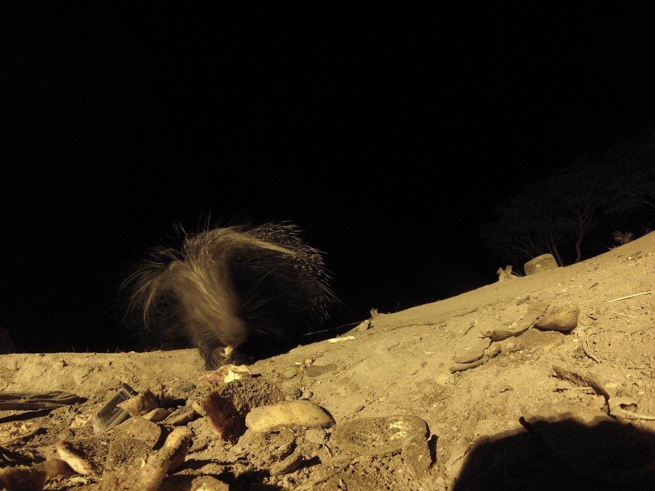 [11372] 2016_06_23_20_00_20_Africa_Hero3-Silver_Edition_IMG__00984.jpg