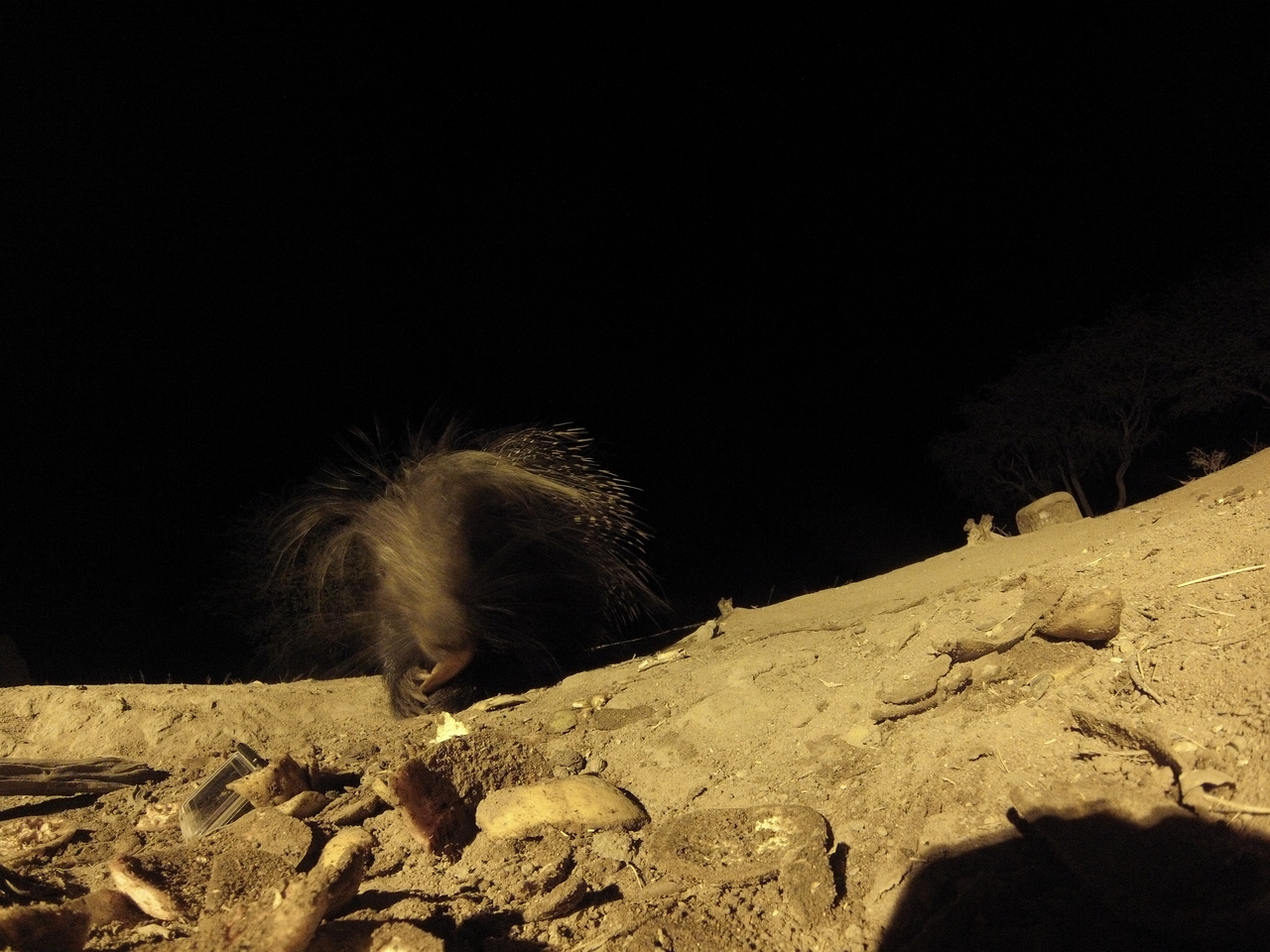 [11395] 2016_06_23_20_00_38_Africa_Hero3-Silver_Edition_IMG__00989.jpg