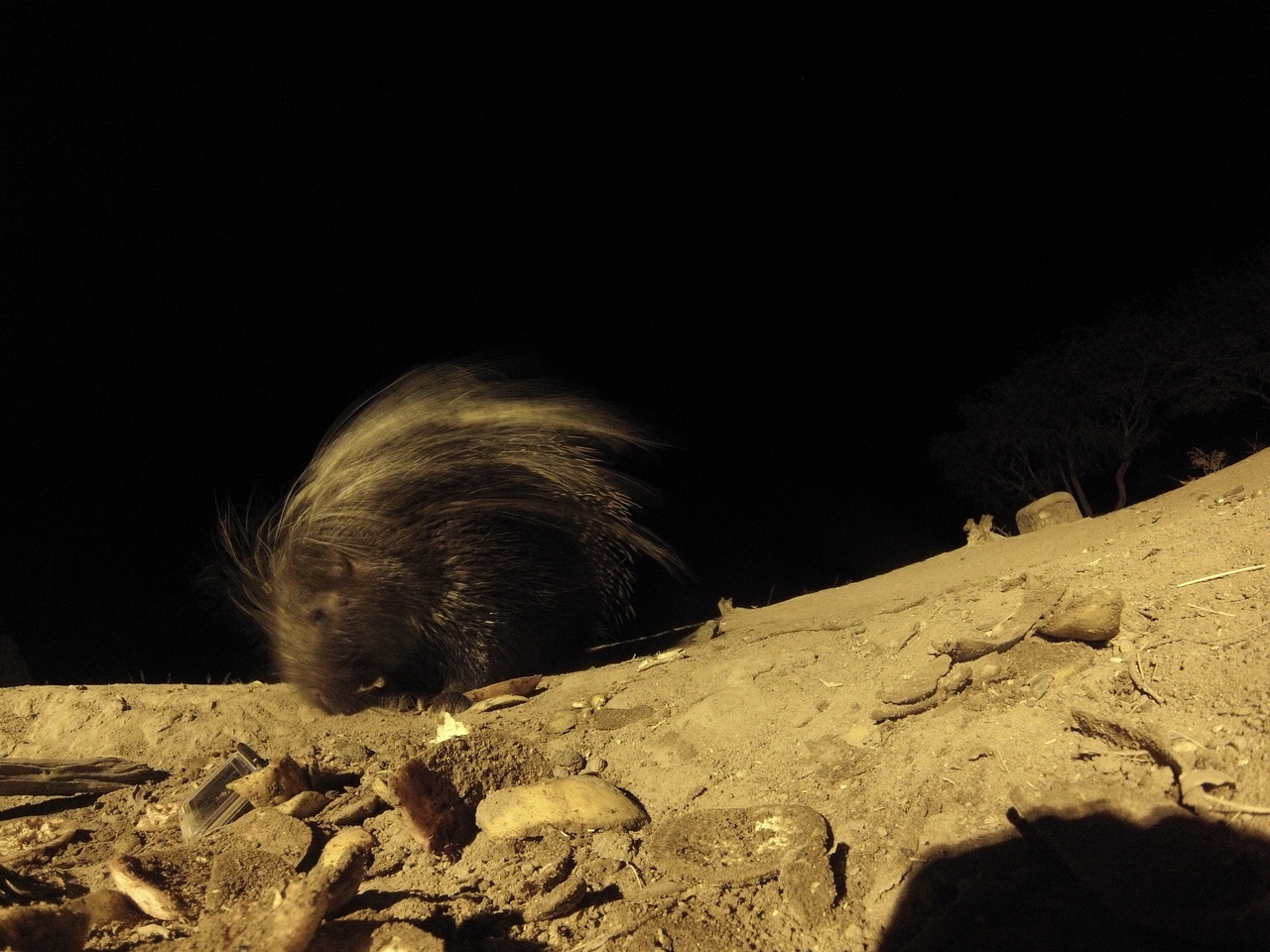 [11415] 2016_06_23_20_00_52_Africa_Hero3-Silver_Edition_IMG__00048.jpg