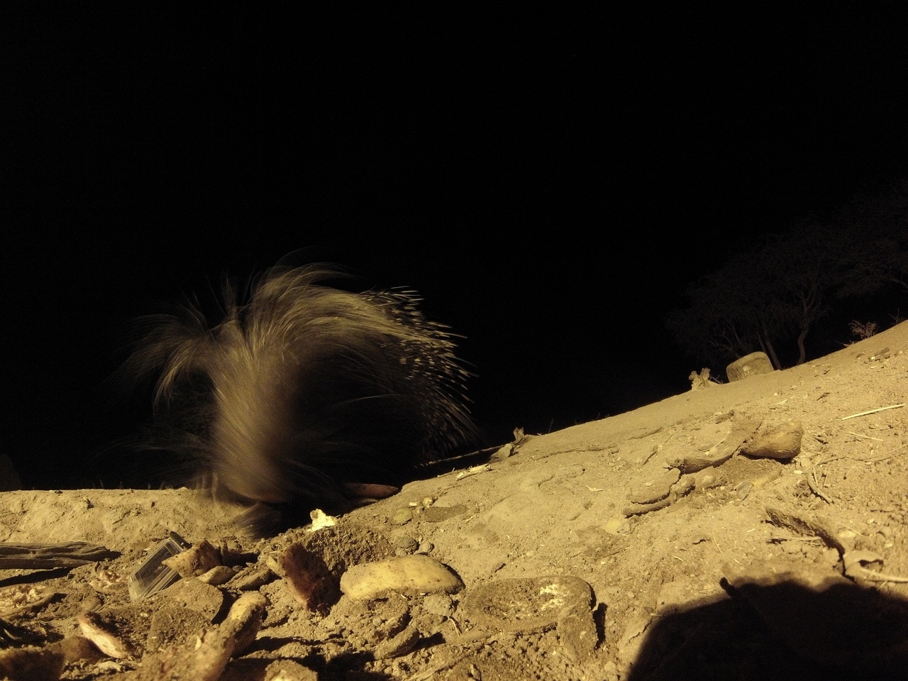 [11446] 2016_06_23_20_01_20_Africa_Hero3-Silver_Edition_IMG__00055.jpg