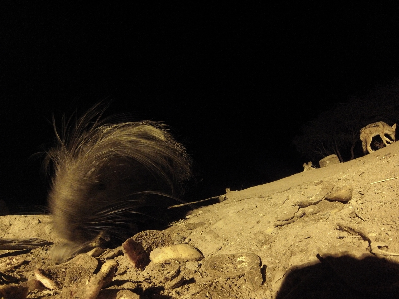 [11545] 2016_06_23_20_02_36_Africa_Hero3-Silver_Edition_IMG__00078.jpg