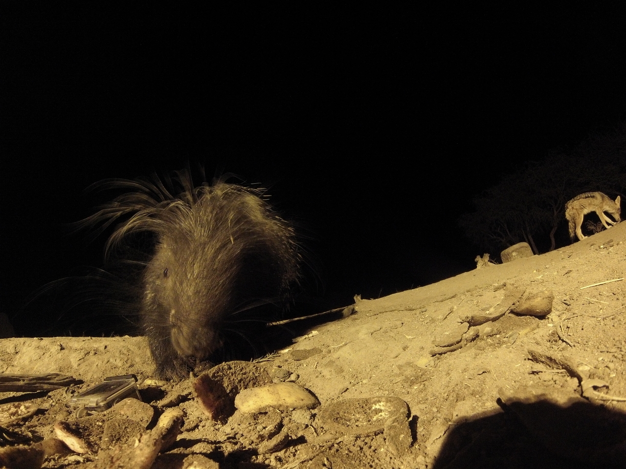 [11568] 2016_06_23_20_02_54_Africa_Hero3-Silver_Edition_IMG__00083.jpg