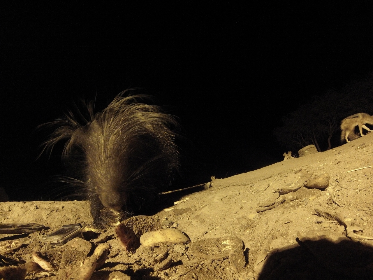 [11582] 2016_06_23_20_03_04_Africa_Hero3-Silver_Edition_IMG__01032.jpg