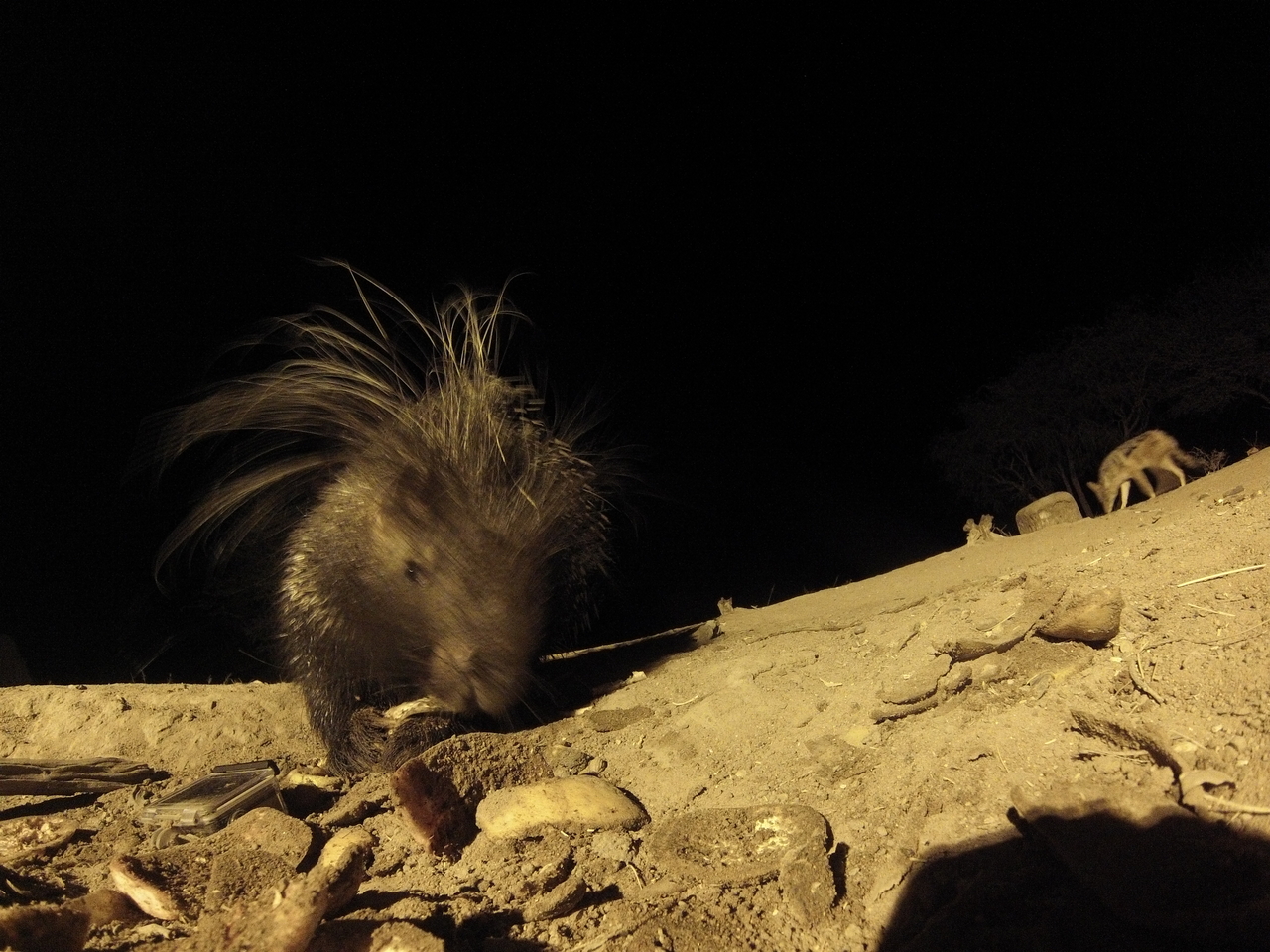 [11586] 2016_06_23_20_03_08_Africa_Hero3-Silver_Edition_IMG__00087.jpg