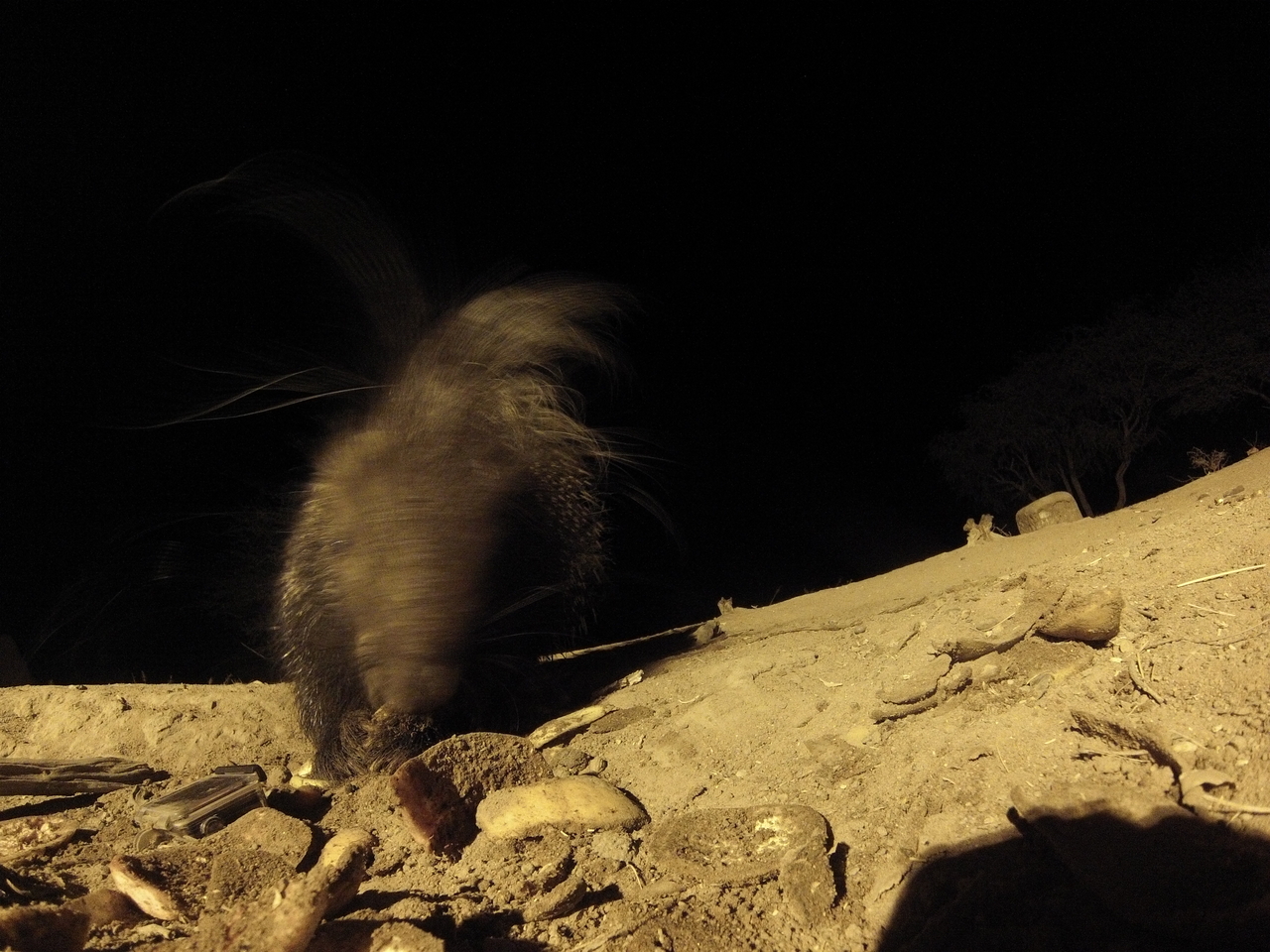 [11599] 2016_06_23_20_03_20_Africa_Hero3-Silver_Edition_IMG__00090.jpg