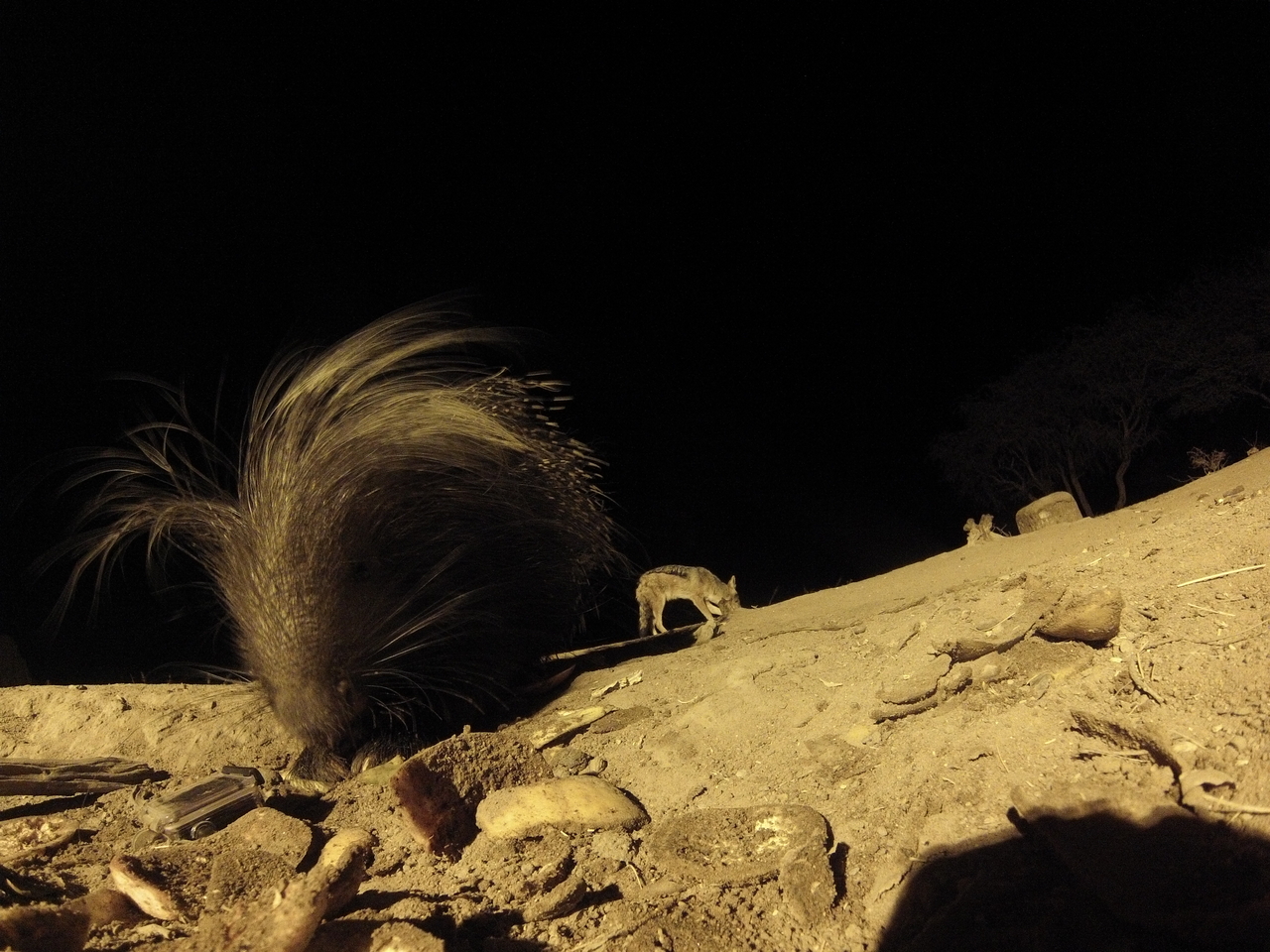 [11609] 2016_06_23_20_03_28_Africa_Hero3-Silver_Edition_IMG__00092.jpg