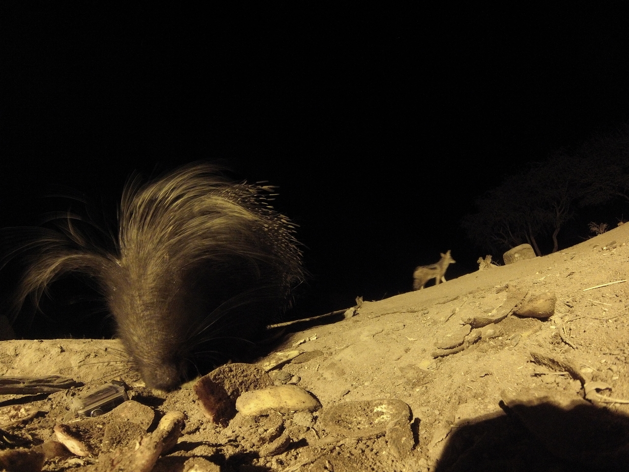 [11623] 2016_06_23_20_03_40_Africa_Hero3-Silver_Edition_IMG__01041.jpg