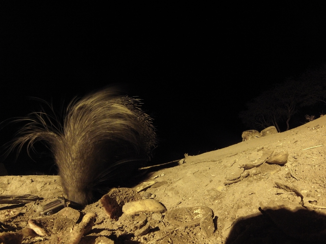 [11627] 2016_06_23_20_03_44_Africa_Hero3-Silver_Edition_IMG__00096.jpg