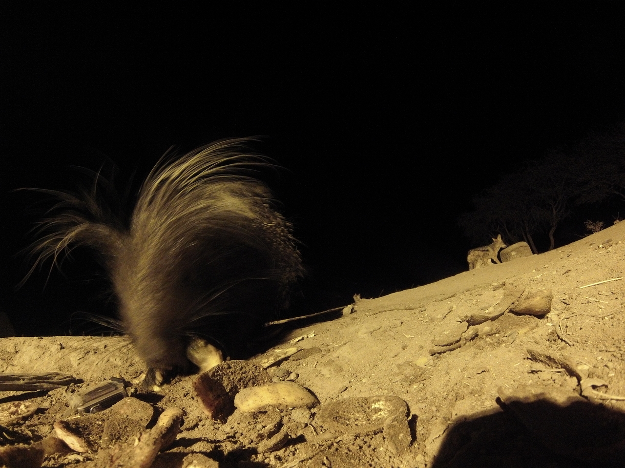 [11632] 2016_06_23_20_03_46_Africa_Hero3-Silver_Edition_IMG__01491.jpg