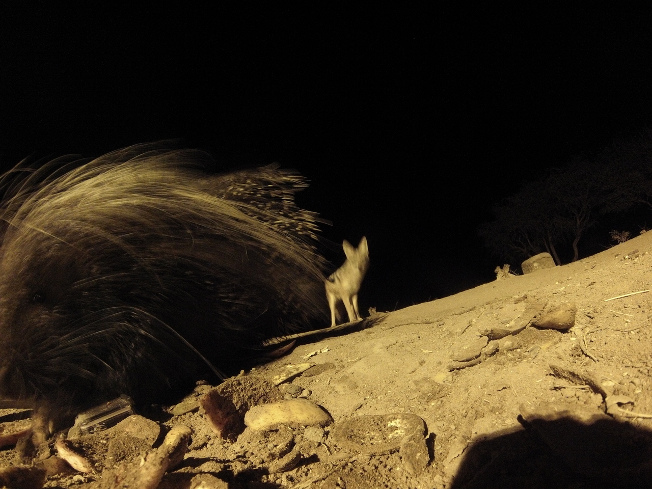 [11711] 2016_06_23_20_04_52_Africa_Hero3-Silver_Edition_IMG__01508.jpg