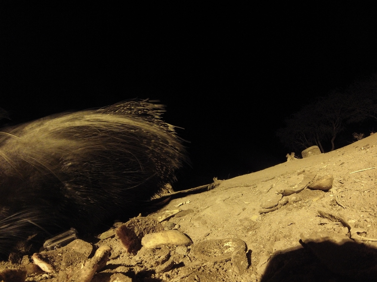 [11723] 2016_06_23_20_05_02_Africa_Hero3-Silver_Edition_IMG__01063.jpg