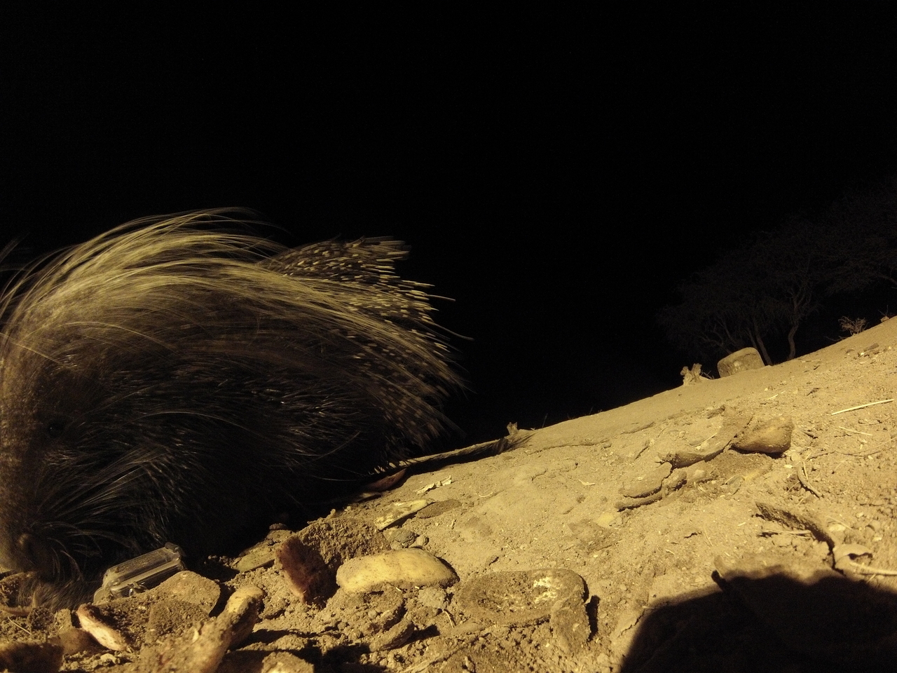 [11749] 2016_06_23_20_05_22_Africa_Hero3-Silver_Edition_IMG__01069.jpg