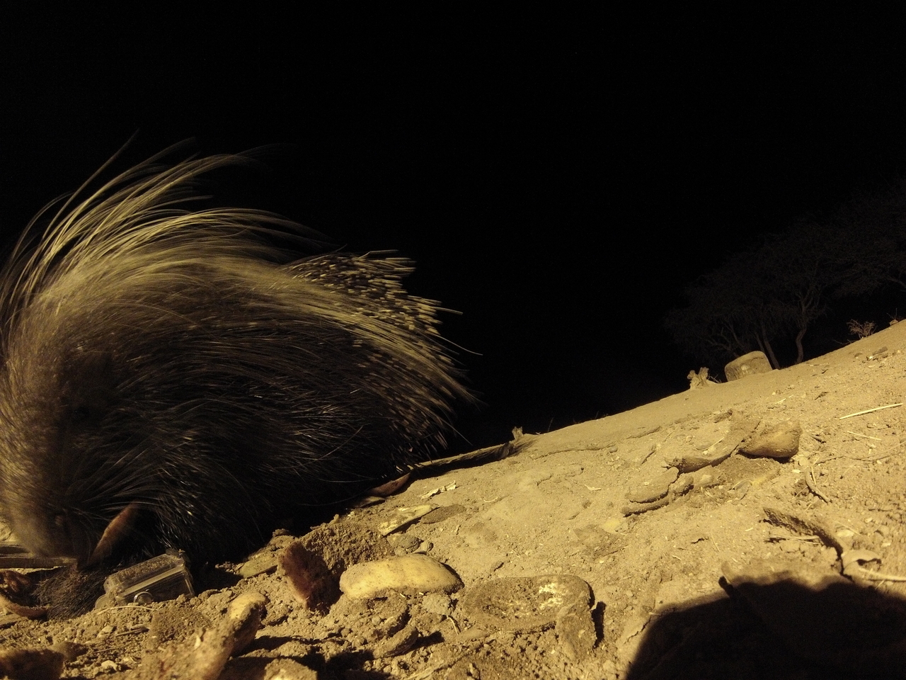 [11771] 2016_06_23_20_05_38_Africa_Hero3-Silver_Edition_IMG__01522.jpg