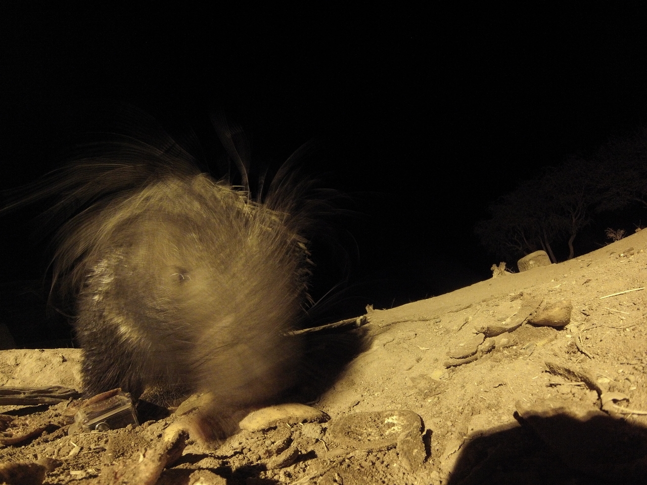 [11778] 2016_06_23_20_05_46_Africa_Hero3-Silver_Edition_IMG__01076.jpg