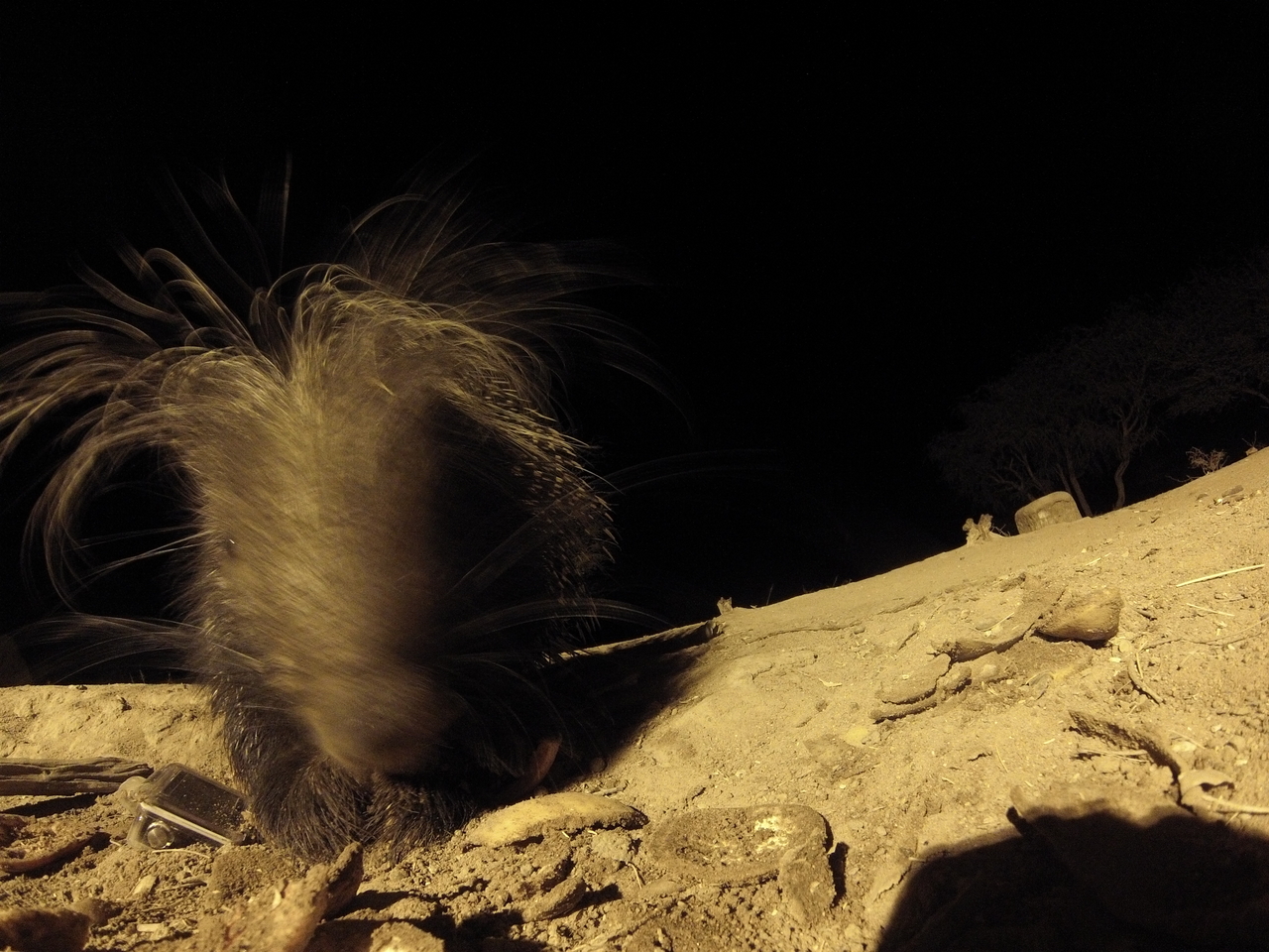 [11799] 2016_06_23_20_06_03_Africa_Hero3-Silver_Edition_IMG__01528.jpg