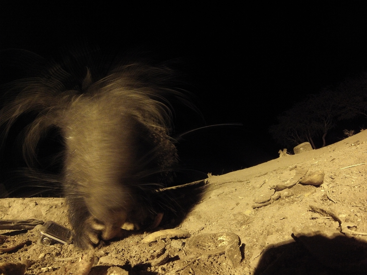 [11800] 2016_06_23_20_06_06_Africa_Hero3-Silver_Edition_IMG__00135.jpg