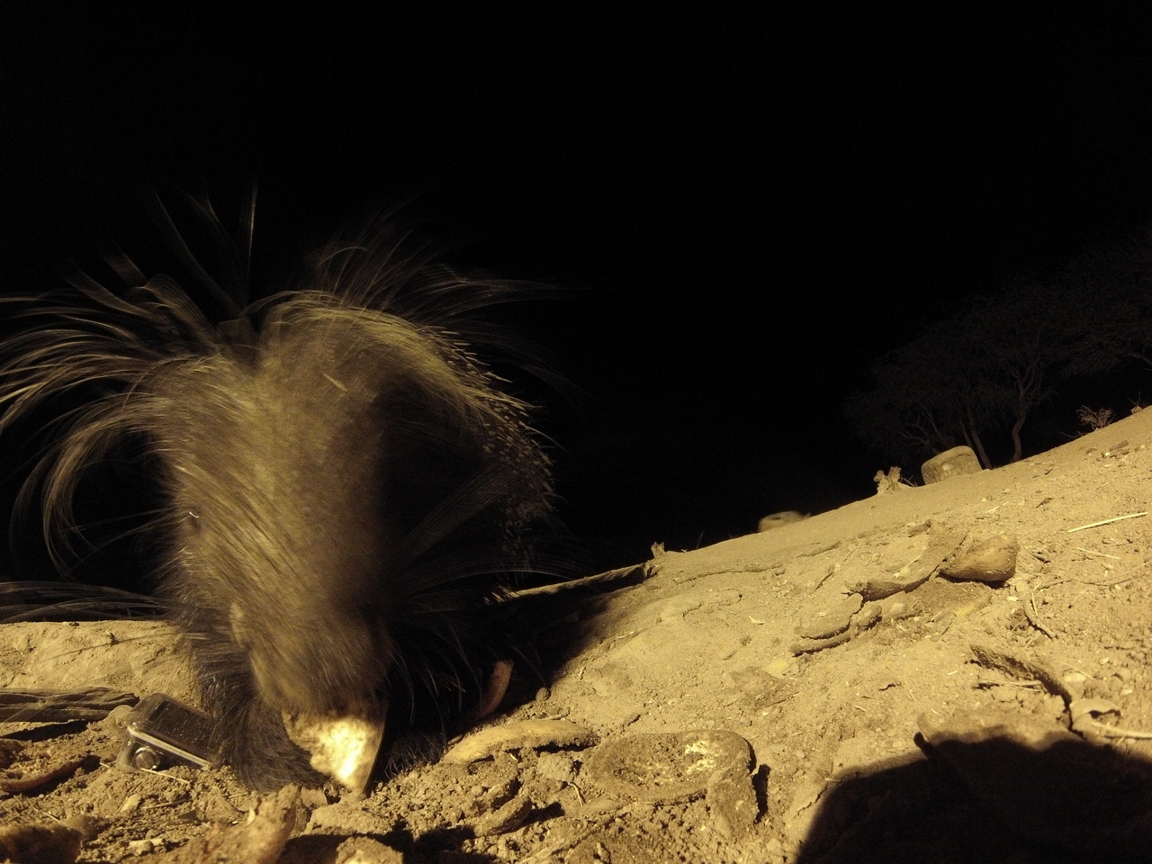 [11823] 2016_06_23_20_06_25_Africa_Hero3-Silver_Edition_IMG__00140.jpg