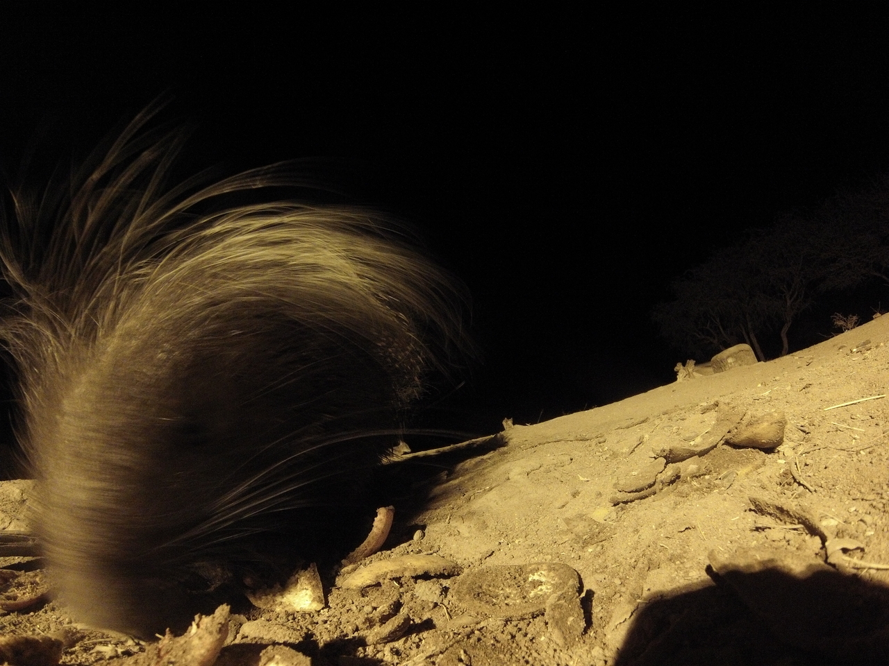 [11829] 2016_06_23_20_06_28_Africa_Hero3-Silver_Edition_IMG__01087.jpg