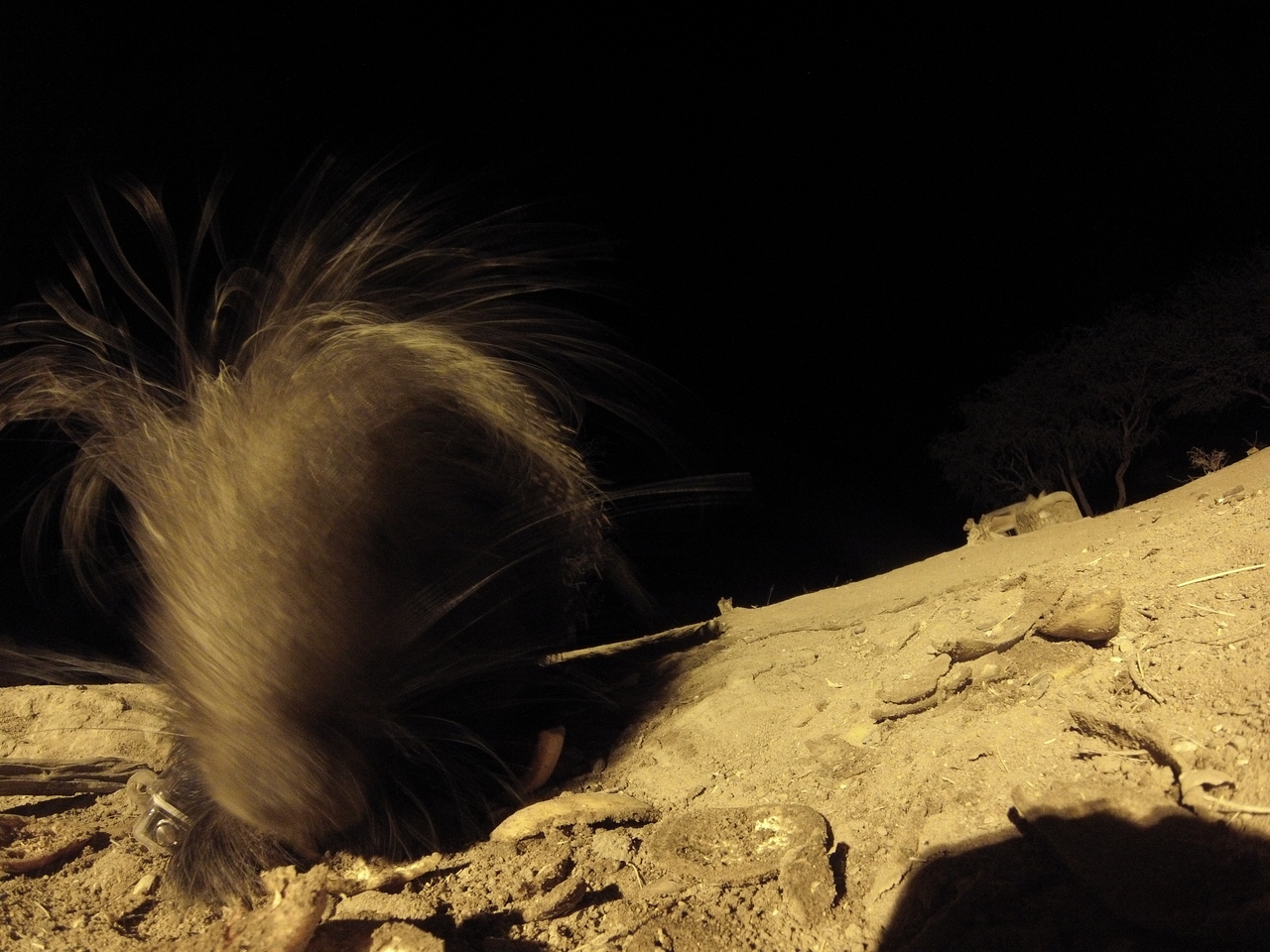 [11857] 2016_06_23_20_06_53_Africa_Hero3-Silver_Edition_IMG__01093.jpg