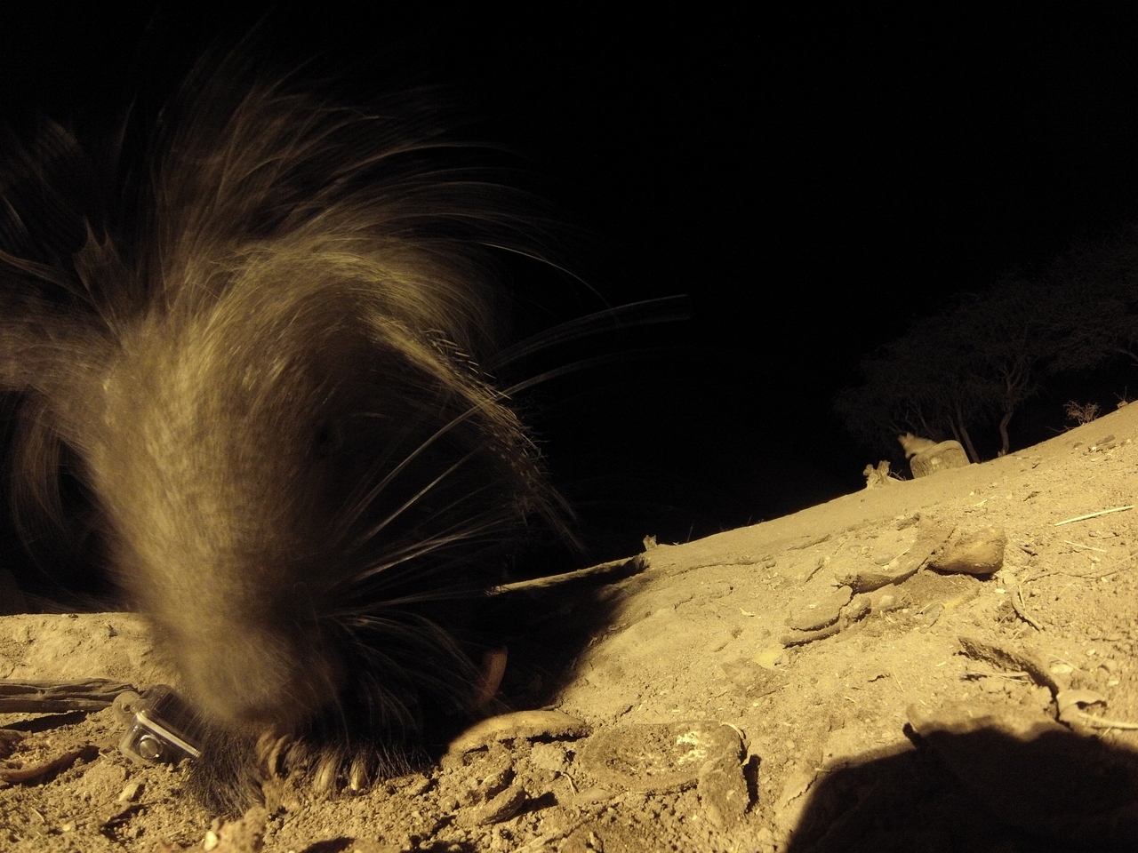 [11870] 2016_06_23_20_07_05_Africa_Hero3-Silver_Edition_IMG__01096.jpg