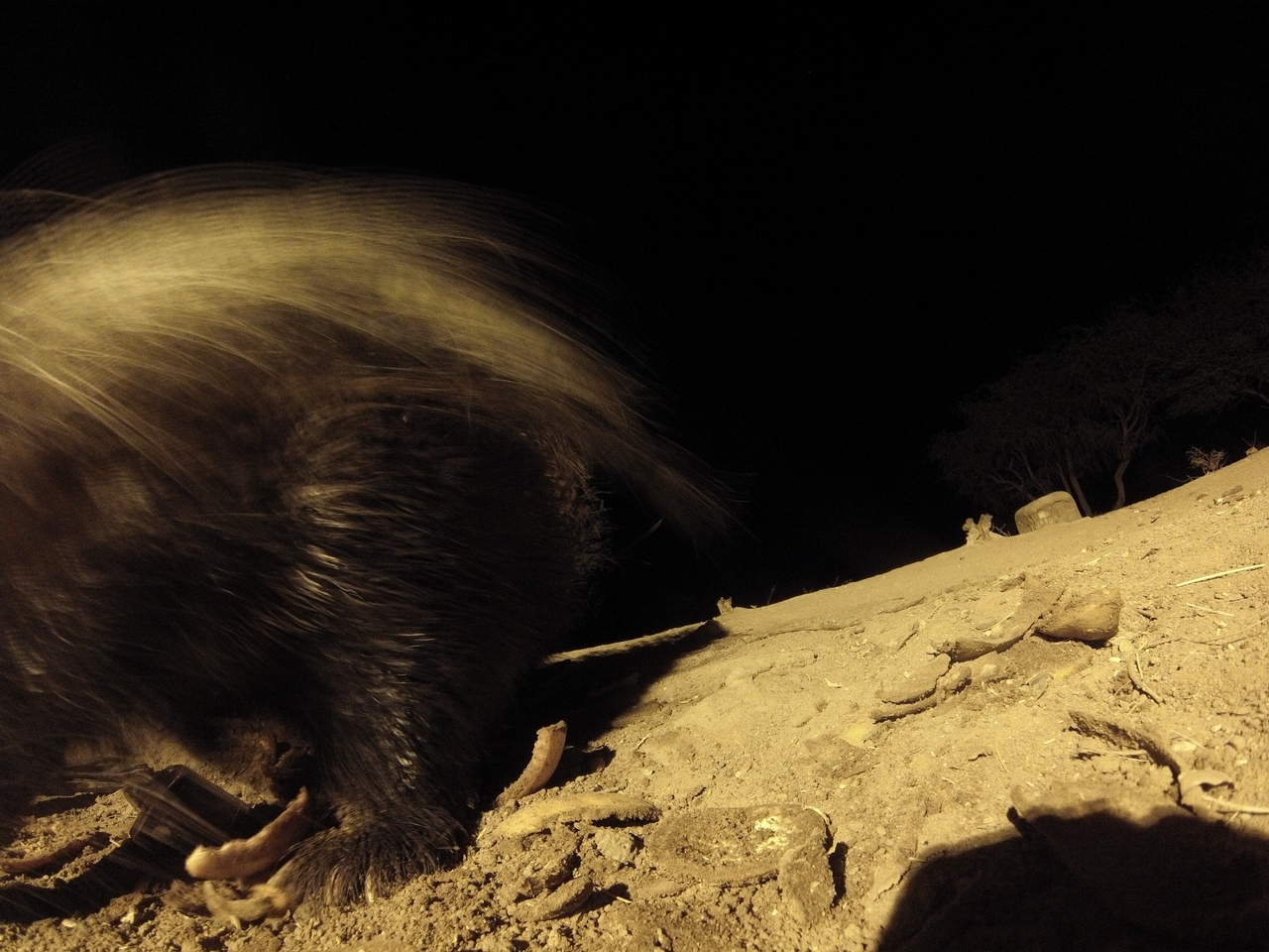 [11917] 2016_06_23_20_07_45_Africa_Hero3-Silver_Edition_IMG__01554.jpg