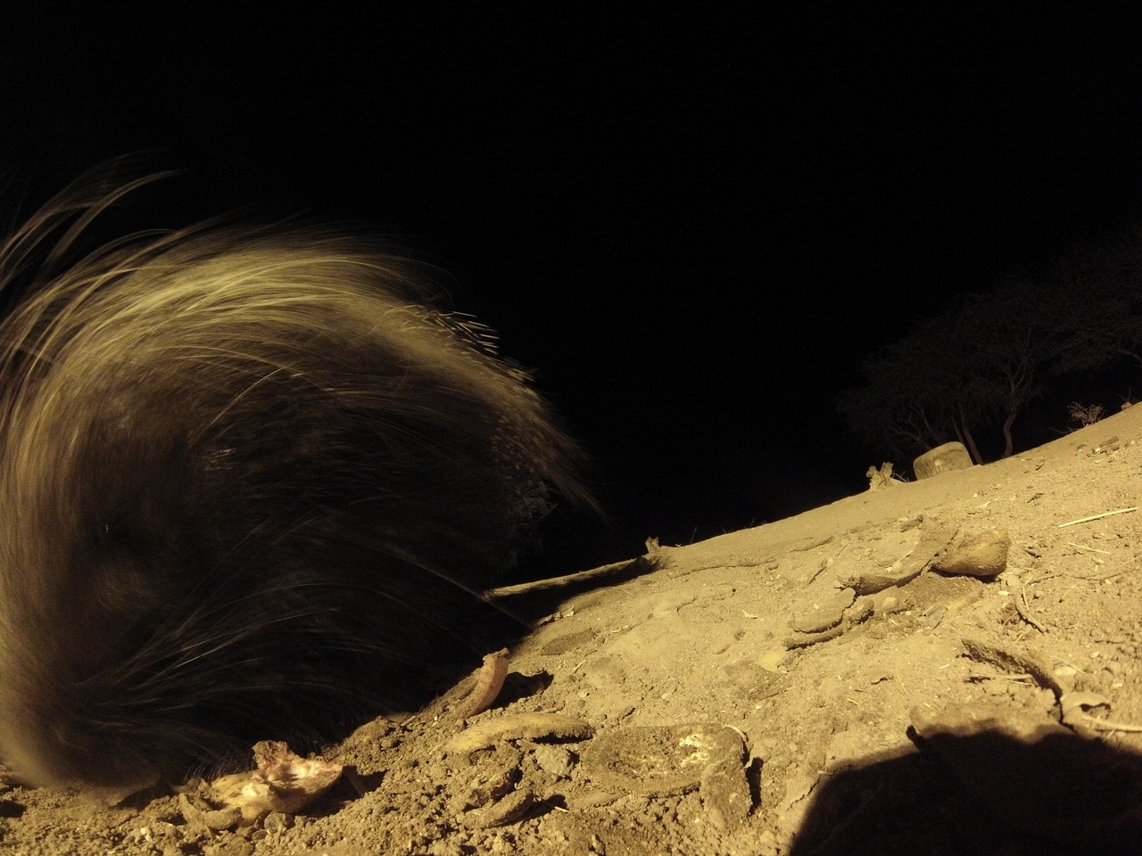 [11920] 2016_06_23_20_07_49_Africa_Hero3-Silver_Edition_IMG__00161.jpg