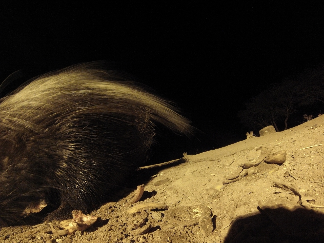 [11926] 2016_06_23_20_07_52_Africa_Hero3-Silver_Edition_IMG__01108.jpg