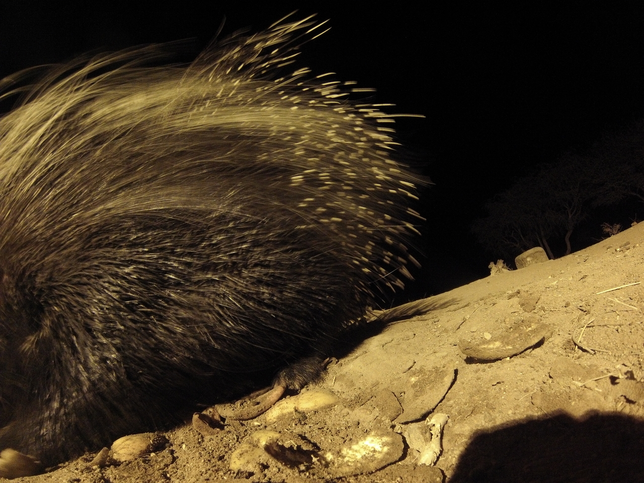 [12016] 2016_06_23_20_09_04_Africa_Hero3-Silver_Edition_IMG__00180.jpg