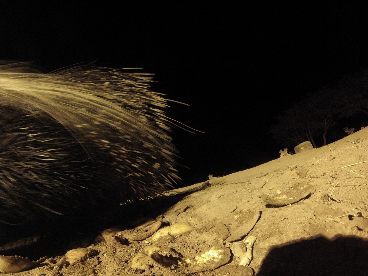 [12058] 2016_06_23_20_09_41_Africa_Hero3-Silver_Edition_IMG__01135.jpg