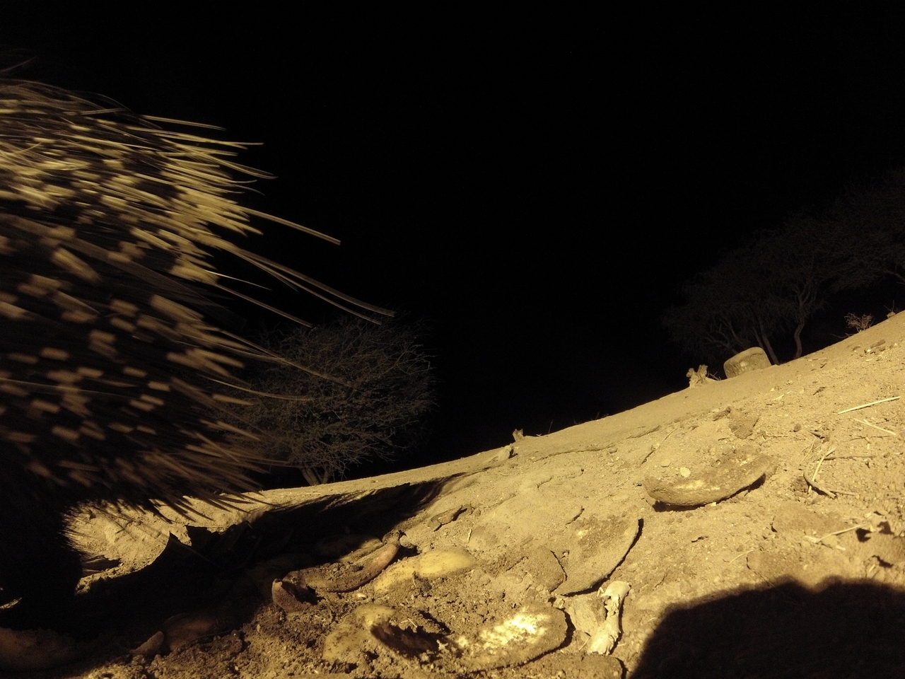 [12064] 2016_06_23_20_09_45_Africa_Hero3-Silver_Edition_IMG__01584.jpg