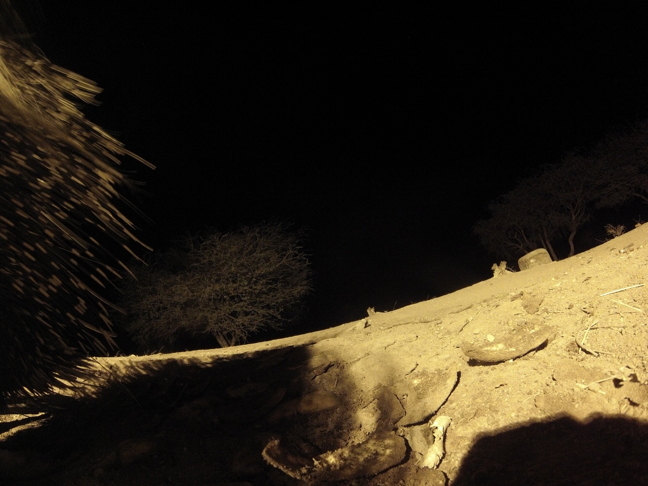 [12068] 2016_06_23_20_09_49_Africa_Hero3-Silver_Edition_IMG__01137.jpg