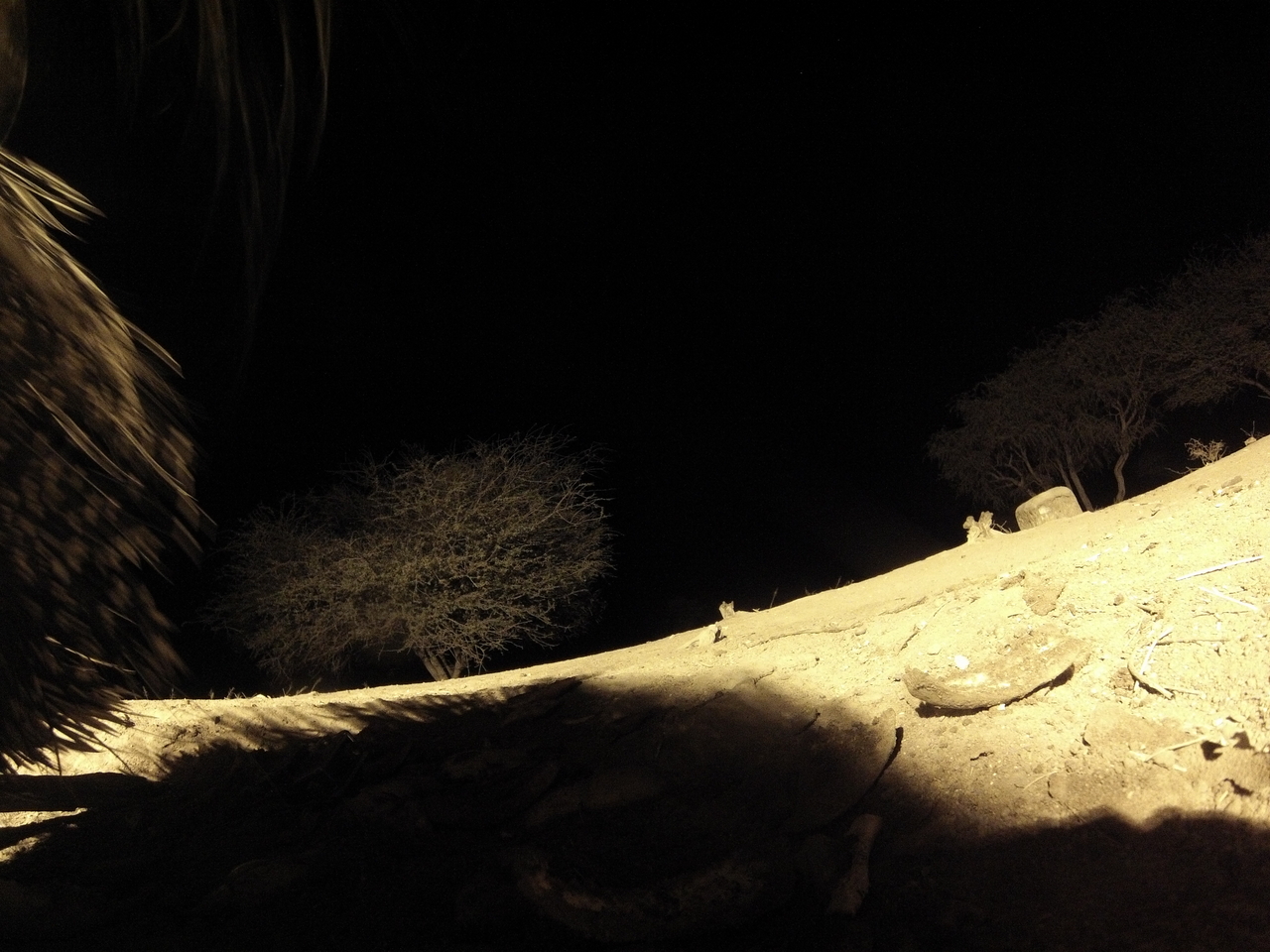 [12077] 2016_06_23_20_09_57_Africa_Hero3-Silver_Edition_IMG__00193.jpg